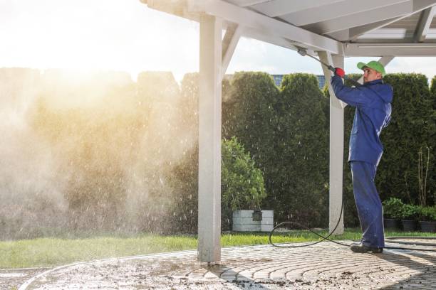 Best Fleet Vehicle Washing  in Olmos Park, TX